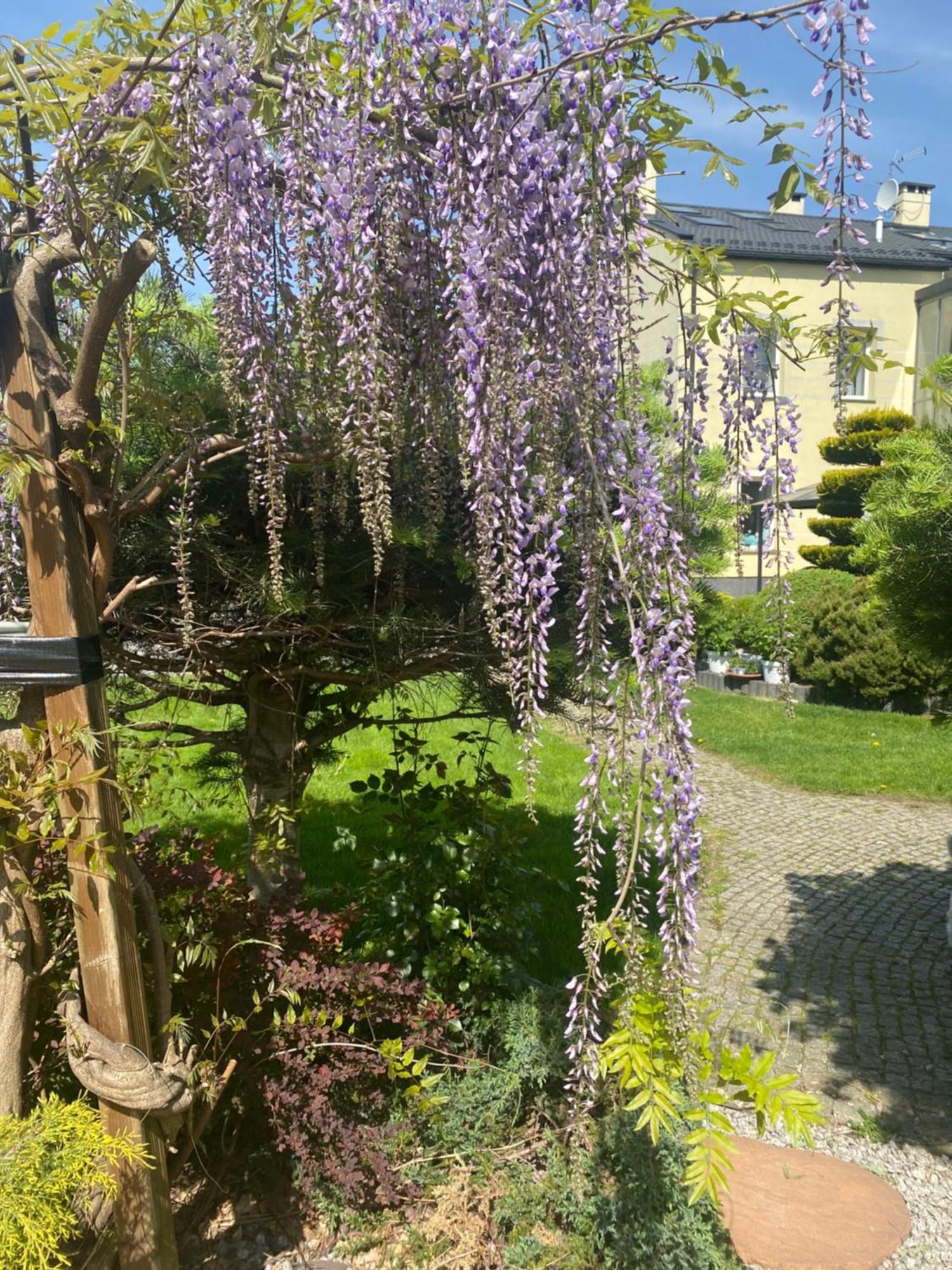Apartamenty I Pokoje „Pod Jedynka” Konstantynów Łódzki Esterno foto
